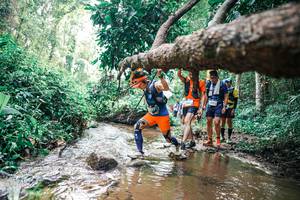 BIB: 
                            <button type="button" onclick="openModal(25373404)" class="btn btn-primary btn-sm float-right btn-popup" data-toggle="modal" data-target=".modal-high-quality">
                        <i class="fas fa-shopping-cart"></i> Add to Cart
                    </button>
                                            <button type="button" onclick="isThisMe(25373404, true)" class="btn btn-success btn-sm float-right btn-popup btn-isme hidden" data-toggle="tooltip" data-placement="bottom" title="นี่คือรูปของคุณใช่ไหม คลิกที่นี่เพื่อเอาเข้าอัลบั้ม">
                        <i class="fas fa-plus"></i> Add to album
                    </button>
                    <button type="button" onclick="isThisMe(25373404, false)" class="btn btn-warning btn-sm float-right btn-popup btn-isnotme hidden">
                        <i class="fas fa-ban"></i> Remove from album
                    </button>